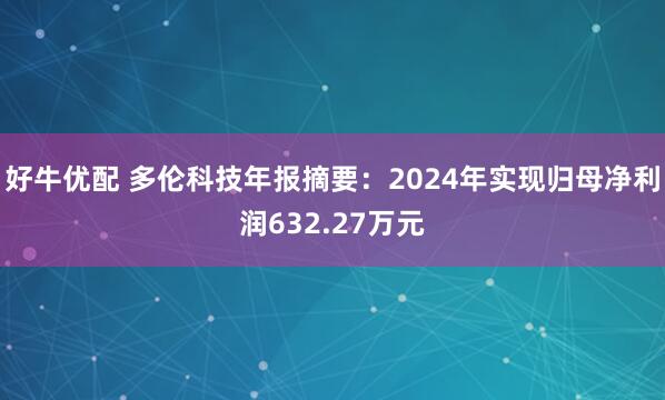 好牛优配 多伦科技年报摘要：2024年实现归母净利润632.27万元