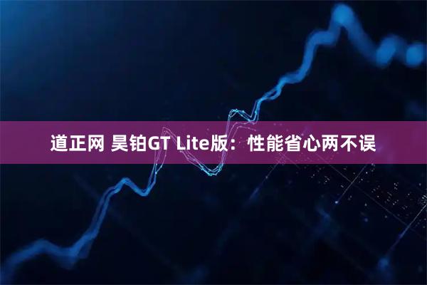 道正网 昊铂GT Lite版：性能省心两不误