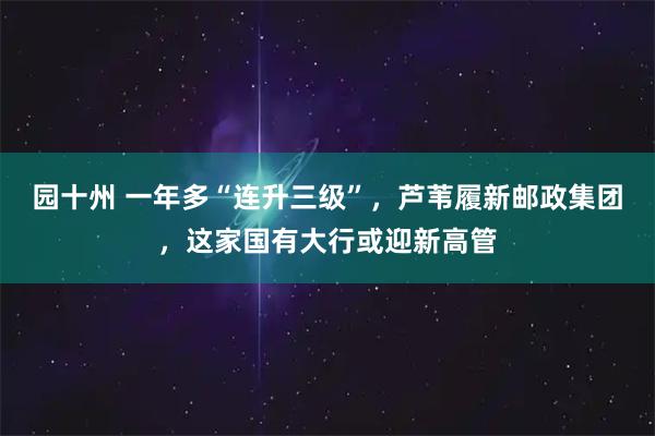 园十州 一年多“连升三级”，芦苇履新邮政集团，这家国有大行或迎新高管