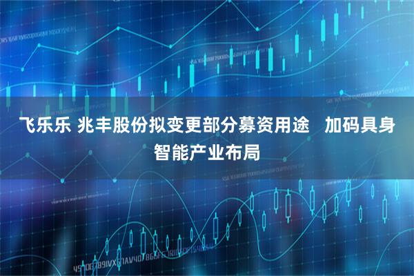 飞乐乐 兆丰股份拟变更部分募资用途   加码具身智能产业布局