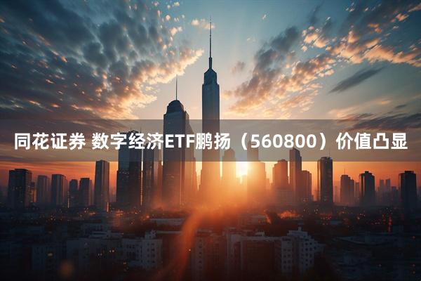 同花证券 数字经济ETF鹏扬（560800）价值凸显